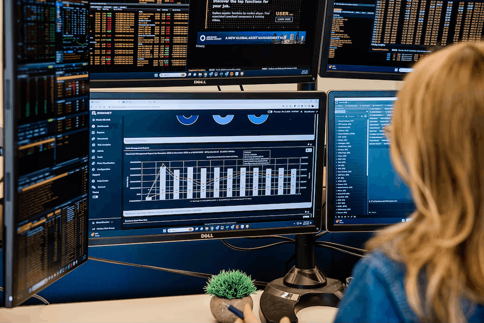 Institutional Risk Analytics & UI Architecture