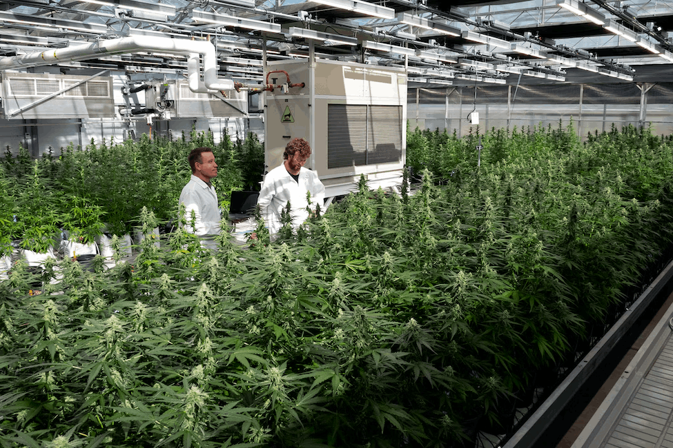 Genomic Data Platform & Visualization Architecture